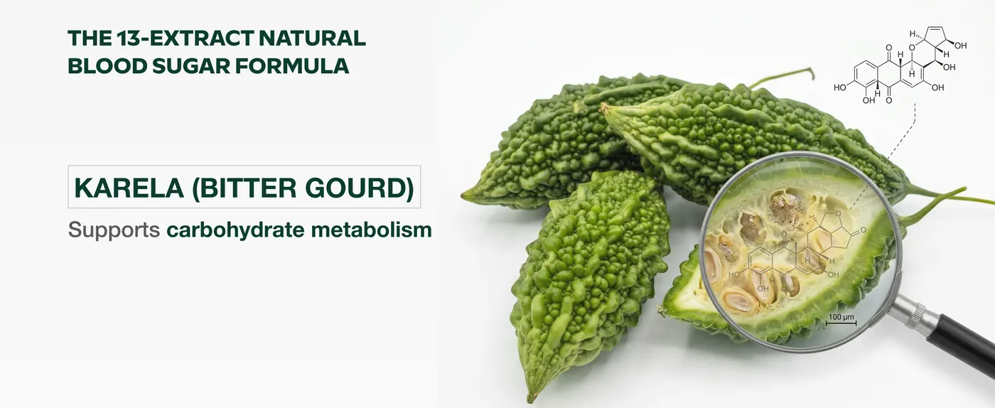DiabeVita A+ Desktop Banner 3